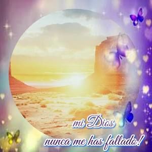 Meet your Posher, Falon